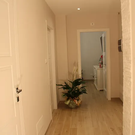 Aurora Couette-café