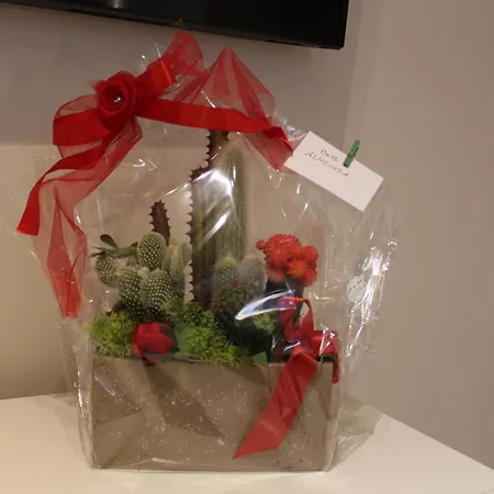 Aurora Bed and breakfast Pisa